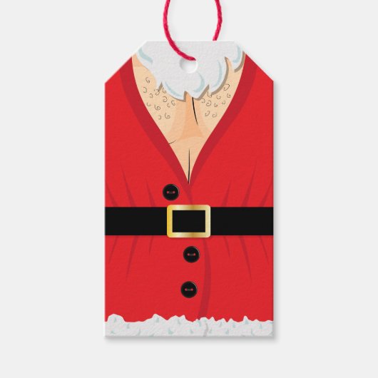 Funny Santa Novelty Kerstmis Cadeaulabel (Voorkant)