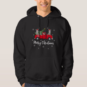 Funny Santa Riding Kerstmis Truck Bunny Chri Hoodie