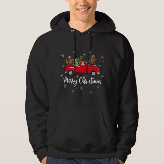 Funny Santa Riding Kerstmis Zee Lion C Hoodie (Voorkant)