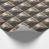 Funny Santa Squirrel Wrapping Paper Cadeaupapier (Hoek)