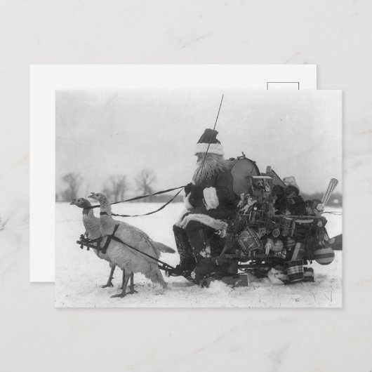 Funny Santa Turkey Sleigh Briefkaart (Voorkant / Achterkant)