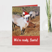 Funny Santa's Goats Kerstmis Kaart (Voorkant)