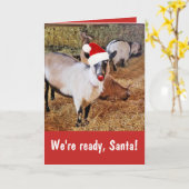 Funny Santa's Goats Kerstmis Kaart (Gele Bloem)