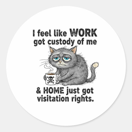 Funny Sarcastic Cat I Feel Like Work Got Custody O Ronde Sticker (Voorkant)