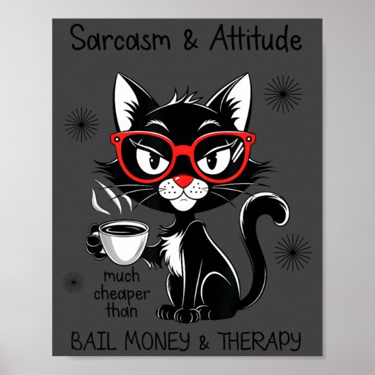 Funny Sarcastic Rude Sayings Sarcasm And Attitude  Poster (Voorkant)