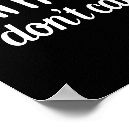 Funny Sarcastic Saying Fun Fact I Don't Care Gift Poster (Hoek)