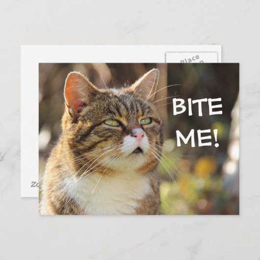 Funny Sassy Cat met Attitude Bite me Briefkaart (Voorkant / Achterkant)