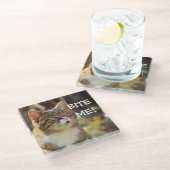 Funny Sassy Cat met Attitude Bite me Glazen Onderzetter (Schuin)