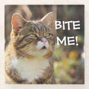 Funny Sassy Cat met Attitude Bite me Glazen Onderzetter