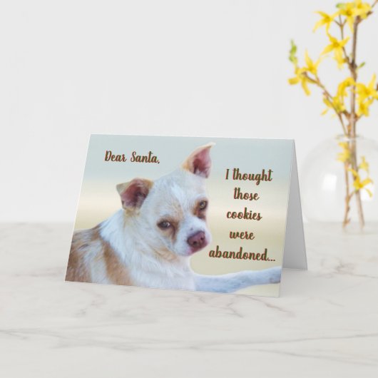 Funny Sassy Naughty Mutt Dog Humor kerstKaart Kaart (Gele Bloem)