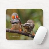 Funny Saucy Cheeky Pair van de Zebra Zongvogels Muismat (Met muis)