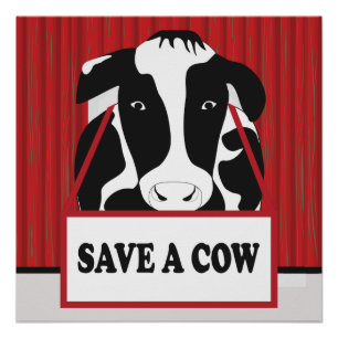 Funny Save a Cow 20x20 Poster