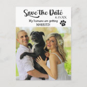 Funny Save the Wedding Date met Dog Briefkaart (Voorkant)