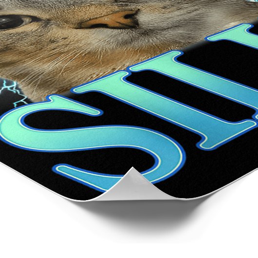 Funny Saying Cat Lover I'm Feeling Silly Cat Meme  Poster (Hoek)