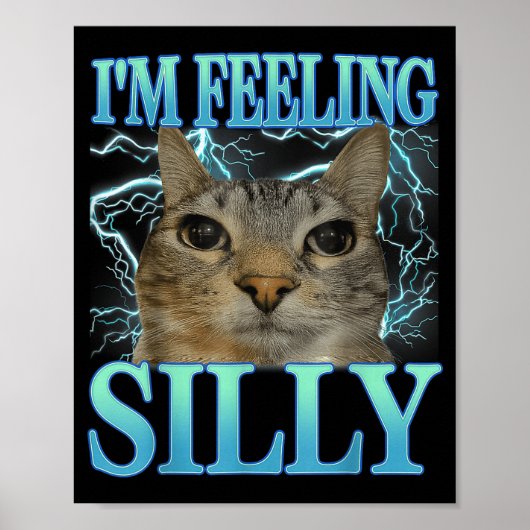 Funny Saying Cat Lover I'm Feeling Silly Cat Meme Poster (Voorkant)
