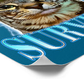 Funny Saying Cats Tummy Ache Survivor Cat Meme Hum Poster (Hoek)