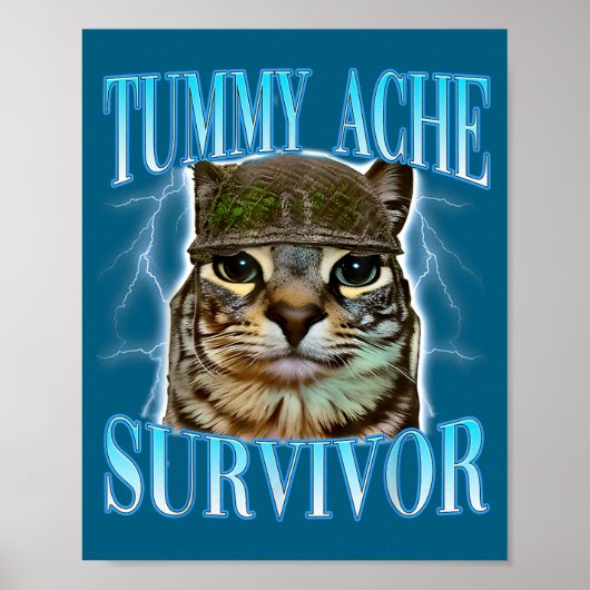 Funny Saying Cats Tummy Ache Survivor Cat Meme Hum Poster (Voorkant)