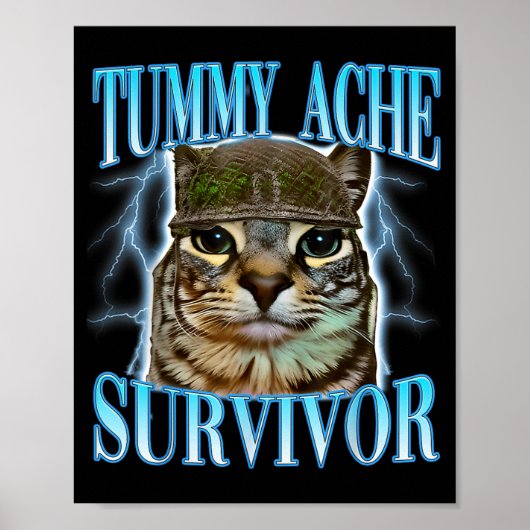Funny Saying Cats Tummy Ache Survivor Cat Meme Hum Poster (Voorkant)