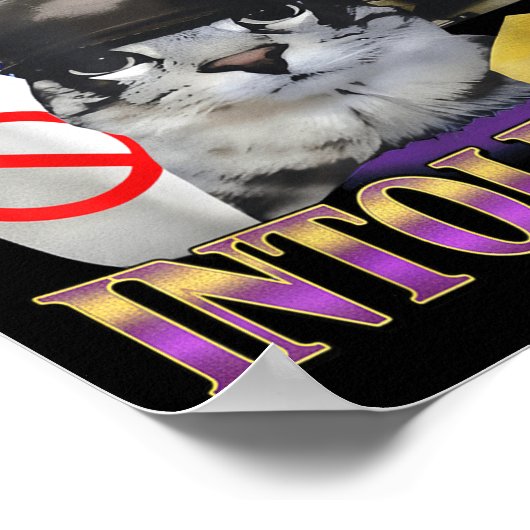 Funny Saying Lactose Intolerant Silly Cat Meme Cat Poster (Hoek)