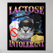 Funny Saying Lactose Intolerant Silly Cat Meme Cat Poster (Voorkant)
