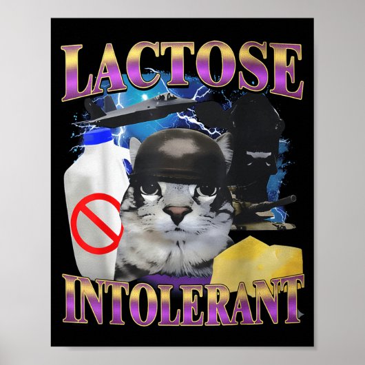 Funny Saying Lactose Intolerant Silly Cat Meme Cat Poster (Voorkant)