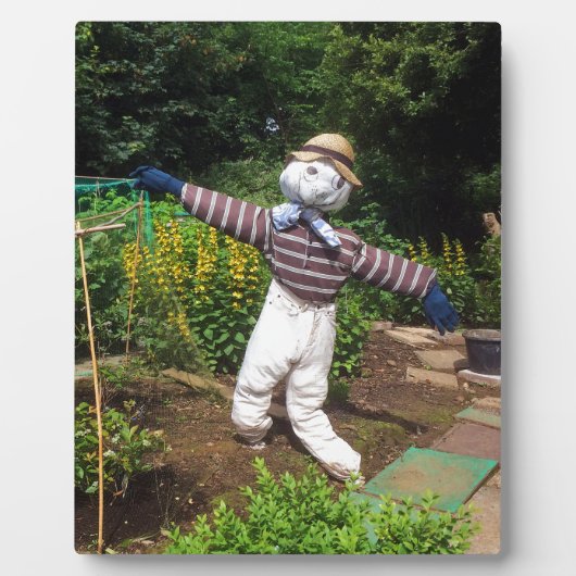 Funny scarecrow fotoplaat (Voorkant)