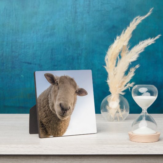 Funny schaap selfie fotoplaat (Insitu)