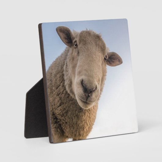 Funny schaap selfie fotoplaat (Voorkant)