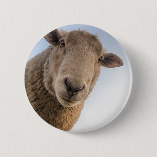 Funny schaap selfie ronde button 5,7 cm