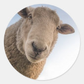 Funny schaap selfie ronde sticker (Voorkant)