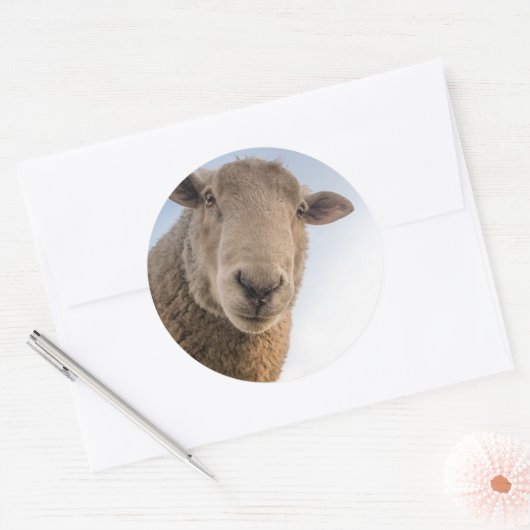Funny schaap selfie ronde sticker (Envelop)
