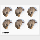 Funny schaap selfie ronde sticker (Vel)