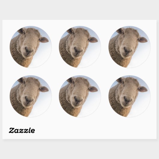 Funny schaap selfie ronde sticker (Vel)
