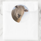Funny schaap selfie ronde sticker (Tas)