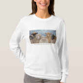 Funny schaap t-shirt (Voorkant)