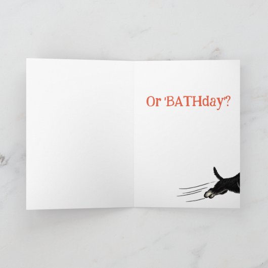 Funny Schnauzer Verjaardagsgroeten Kaart (Binnen)