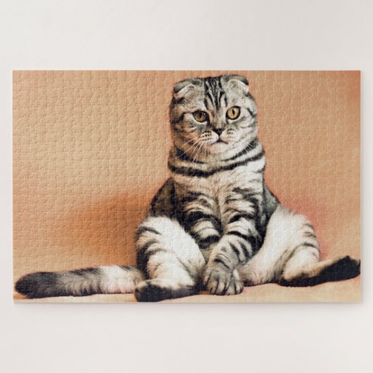 Funny Scottish Fold Cat Foto Legpuzzel (Horizontaal)