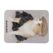 Funny Scottish Fold Cat/Kat in een Kilt Magneet (Horizontaal)
