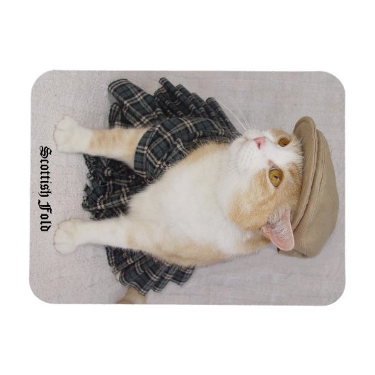 Funny Scottish Fold Cat/Kat in een Kilt Magneet (Horizontaal)