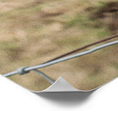 Funny Scottish Highland koe Poster (Hoek)