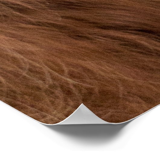 Funny Scottish Highland koe Poster (Hoek)