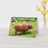 Funny Scottish Highland Steer Birthday Kaart (Gele Bloem)