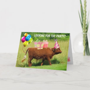 Funny Scottish Highland Steer Birthday Kaart