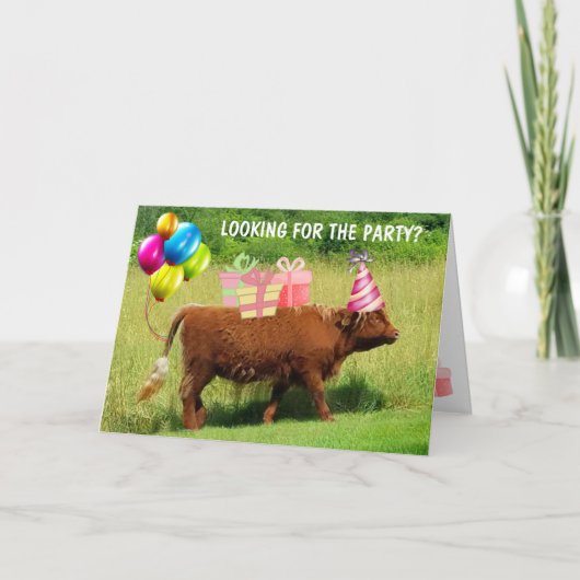Funny Scottish Highland Steer Birthday Kaart (Voorkant)