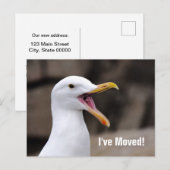 FUNNY Seagull Aankondigingskaart (Voorkant / Achterkant)