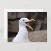 FUNNY Seagull Briefkaart (Voorkant / Achterkant)