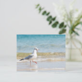 Funny seagull briefkaart (Staand voorkant)