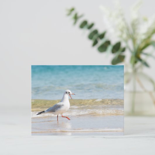 Funny seagull briefkaart (Staand voorkant)