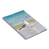 Funny seagull notitieboek (Rechterzijde)