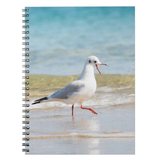 Funny seagull notitieboek (Voorkant)